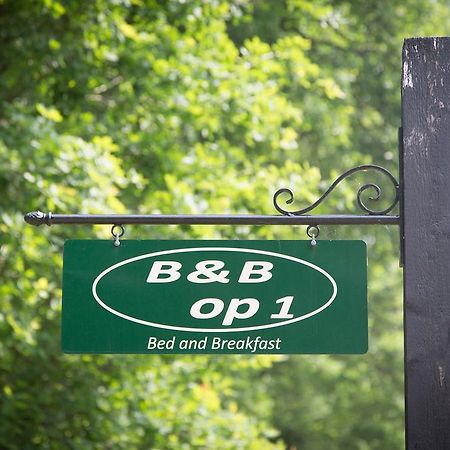 Bed & Breakfast Orvelte מראה חיצוני תמונה