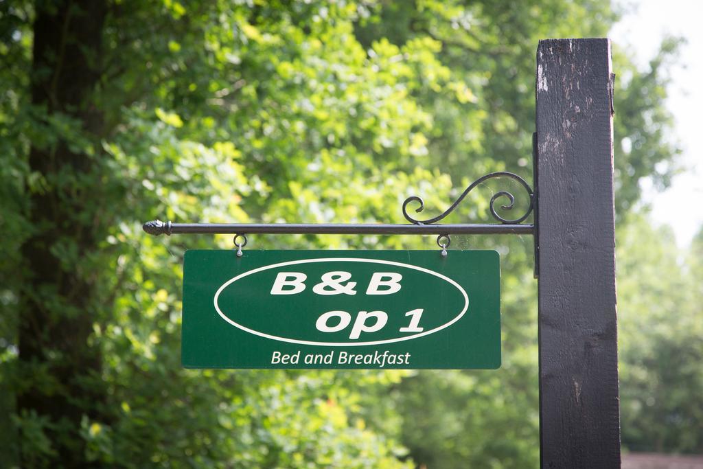 Bed & Breakfast Orvelte מראה חיצוני תמונה